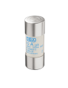 Fusibile 22x58 gG 690V 40A