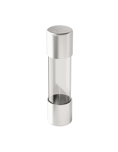 Fuse 5x20 T 250V glass + sand 10A 7000403.10