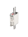 Fusibile NH1 gG 500V doppio indicatore 80A