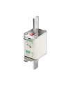 Fuse NH2 aM 690V double indicator 63A