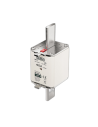 Fusibile NH2 gG 690V doppio indicatore 80A