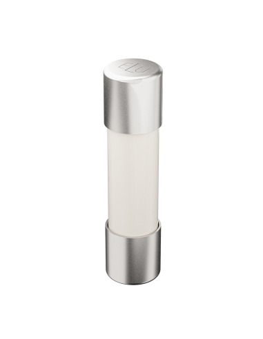 Fusibile 5x20 F 250V vetro + sabbia 10A 7000401.10