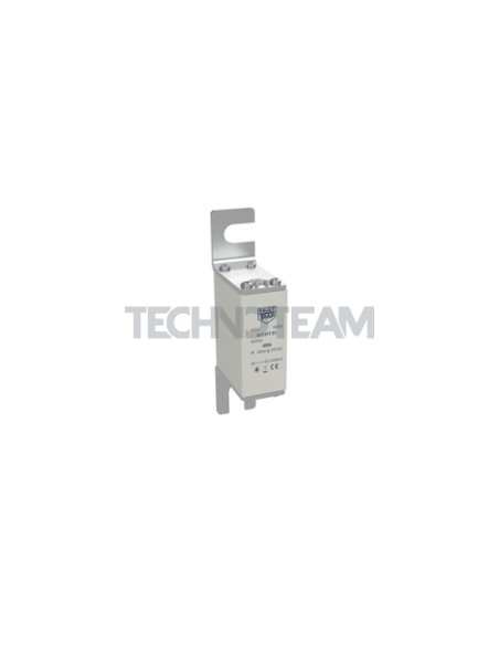 NR2A-Fuse 000/80 aR 700VDC/690VAC with ind. w/o lug 125A