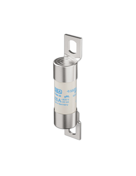 Fusibile 800VAC gRL/gS 22x65 con terminali 85mm 100A