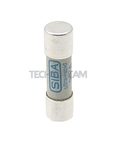 Fuse 10x38 gRL/gS 600V 10A