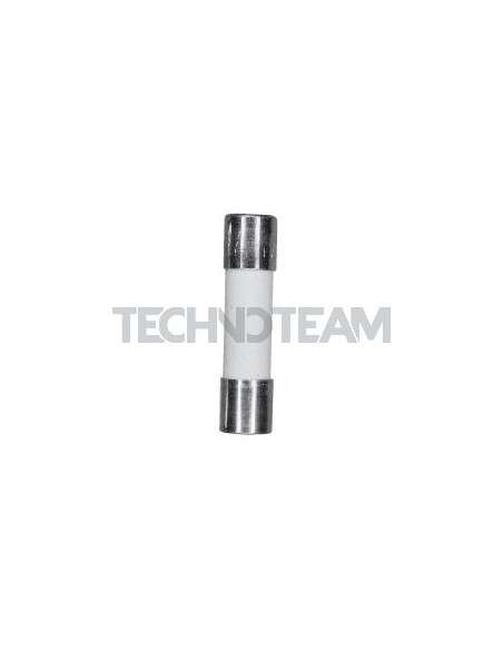 Fuse 5x20 M 250V ceramic with indicator 2,5A
