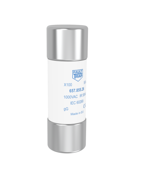 X100 - Fuse 22x65mm 1000VAC gG 16A