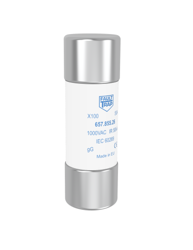 X100 - Fuse 22x65mm 1000VAC gG 10A