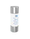 BP22 -Fusibile 22x65mm cilindrico 40A