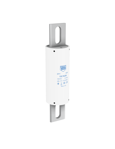 BPF1 - Fuse 1500VDC aBat d:50mm axial 168mm 160A